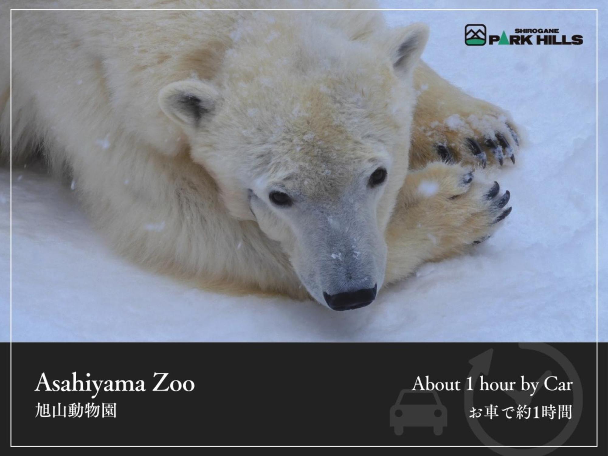Biei Shirogane Onsen Hotel Park Hills Exterior photo
